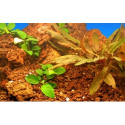 Lávový dekorační kámen - velikost S