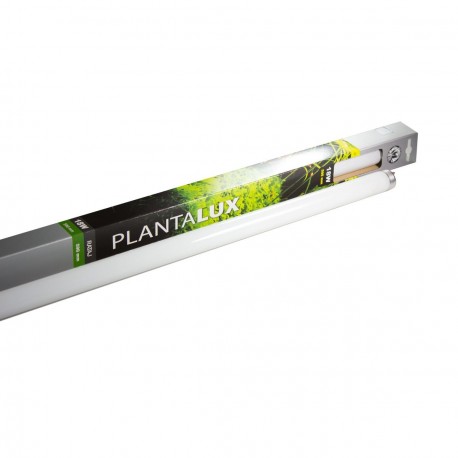 Zářivka PLANTALUX T8 30W
