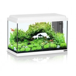 Aquatlantis Advance 50