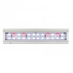 Blau Lumina LED 62-1