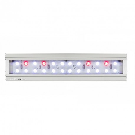 Blau Lumina LED 62-1