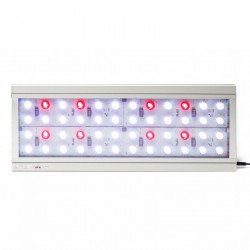 Blau Lumina LED 62-2