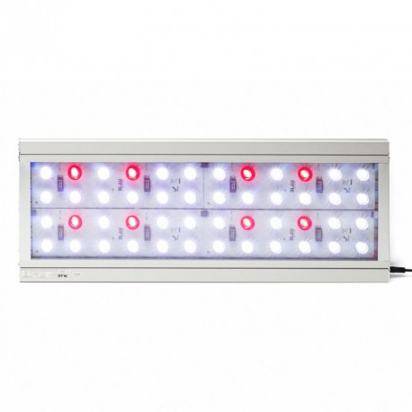 Blau Lumina LED 62-2