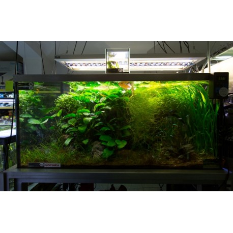 Akvarijní komplet 127x80x60 cm