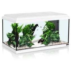 Aquatlantis Advance 60