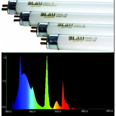 Zářivka BLAU T5 24W 15000K