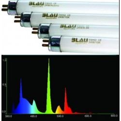 Zářivka BLAU T5 24W 10000K