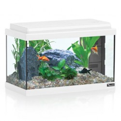 Aquatlantis Advance 40