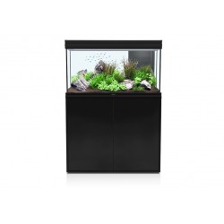 Aquatlantis Fusion 100