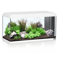 Aquatlantis Advance 80